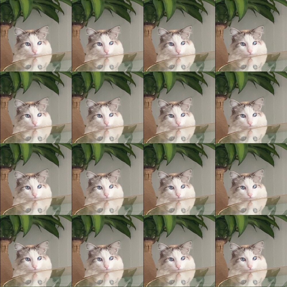 Meet your Posher, Kevin